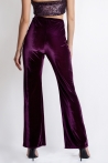 Dione pants Purple